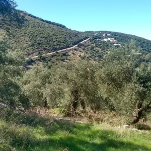 Земельный участок в Corfu, фото 4