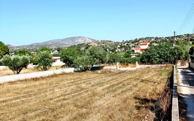 Земельный участок в Коропи