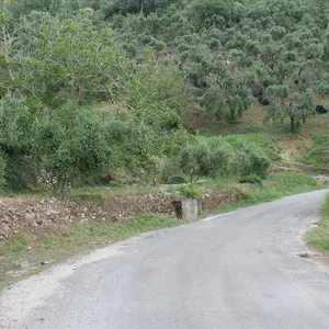 Земельный участок в Corfu, фото 3