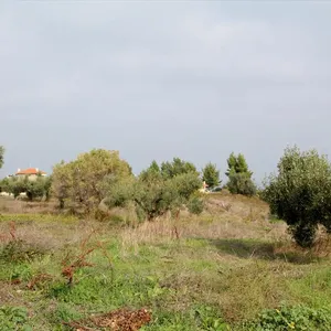 Земельный участок в Kassandra Municipality, фото 3