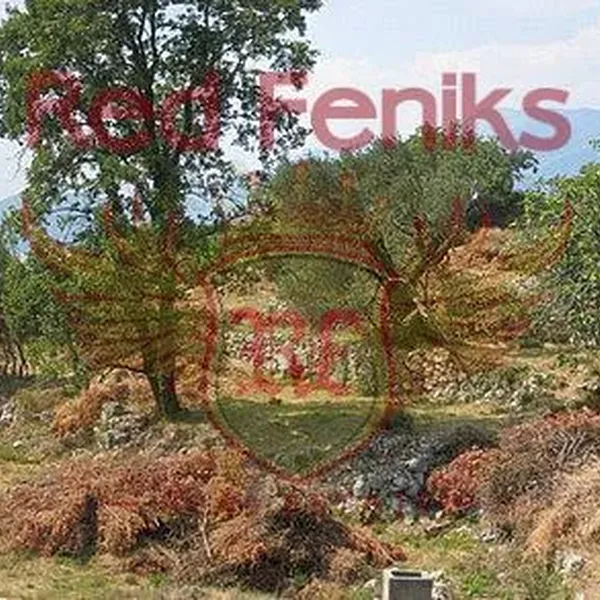 Земельный участок в Режевичи, фото 1
