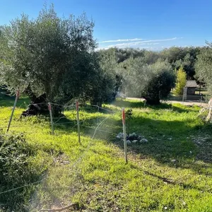 Земельный участок в Corfu, фото 2