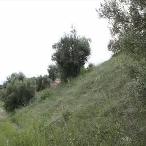 Земельный участок в Kassandra Municipality, фото 5