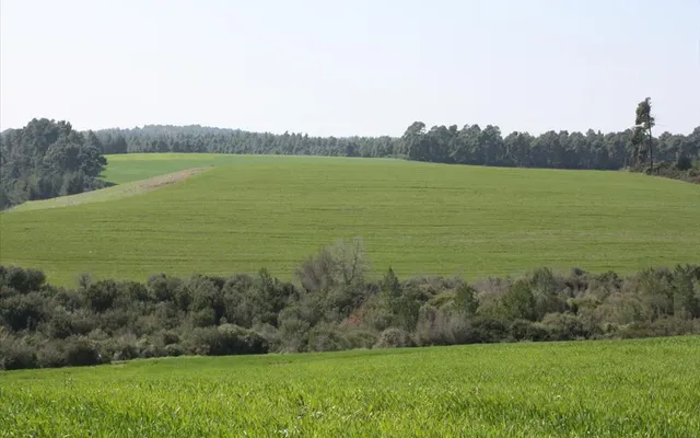 Земельный участок в Kassandra Municipality