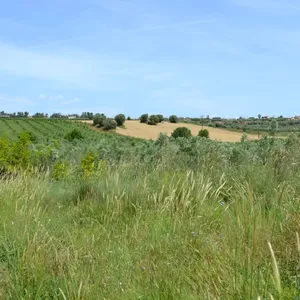 Земельный участок в Kassandra Municipality, фото 3