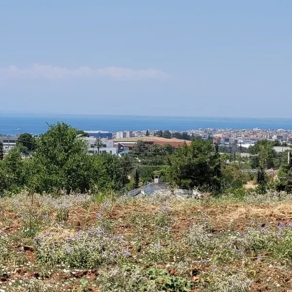 Земельный участок в Панорама, фото 1