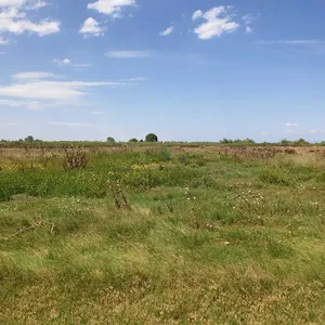 Земельный участок в Катерини, фото 4