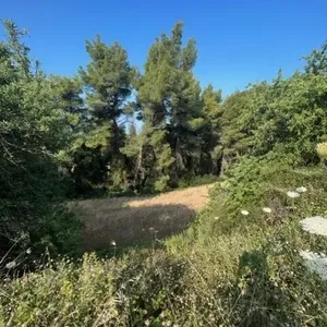 Земельный участок в Kassandra Municipality, фото 5