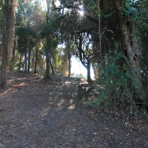 Земельный участок в Corfu, фото 5