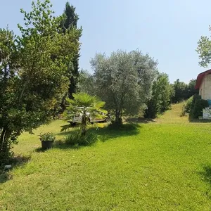 Отдельный дом в Kassandra Municipality, фото 4