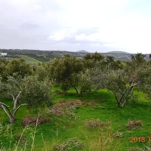 Земельный участок в Гувес, фото 3