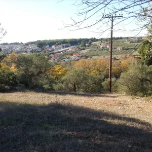 Земельный участок в Ситониа, фото 3