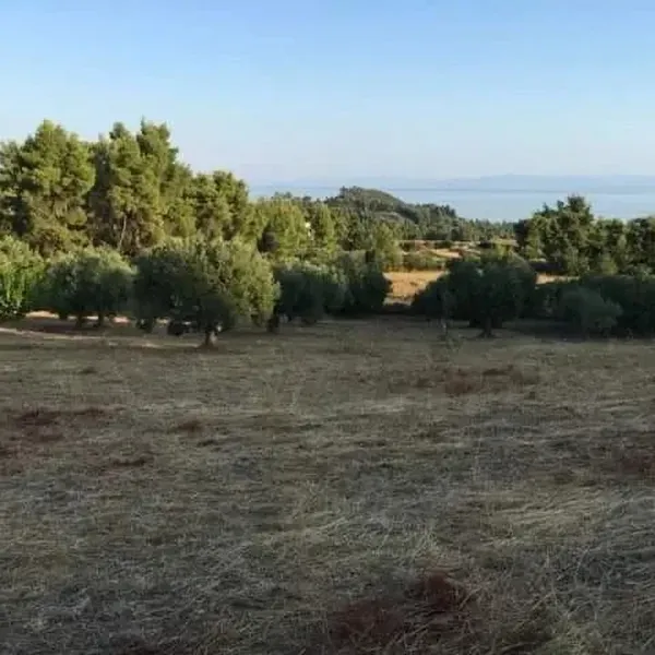 Земельный участок в Kassandra Municipality, фото 1