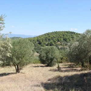 Земельный участок в Kassandra Municipality, фото 3