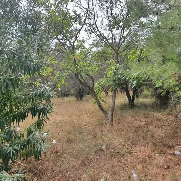 Земельный участок в Kassandra Municipality, фото 2