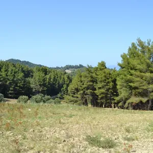 Земельный участок в Kassandra Municipality, фото 5