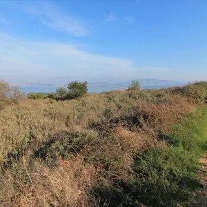 Земельный участок в Corfu, фото 2