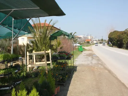 Земельный участок в Kassandra Municipality