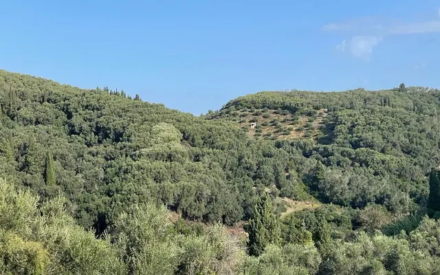 Земельный участок в Corfu