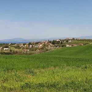 Земельный участок в Kassandra Municipality, фото 3