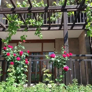 Квартира в Созополь, фото 3