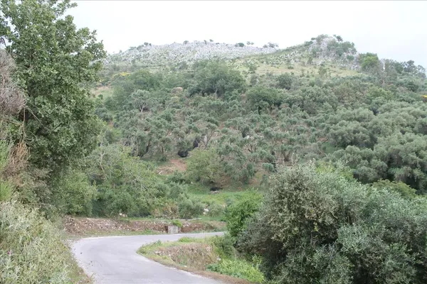 Земельный участок в Corfu