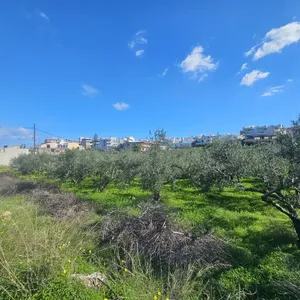 Земельный участок в Гази, фото 3