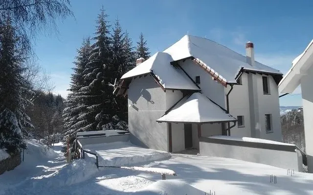 Вилла в Копаоник