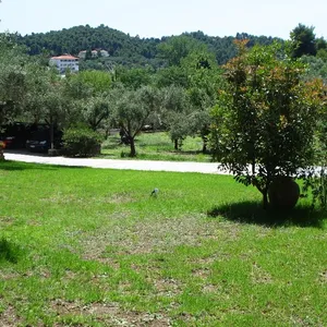 Отдельный дом в Kassandra Municipality, фото 2