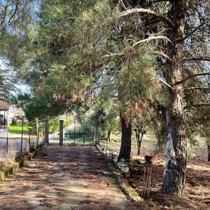 Земельный участок в Corfu, фото 2
