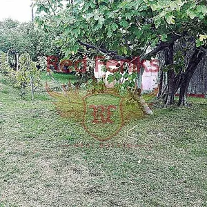 Земельный участок в Шушань, фото 3