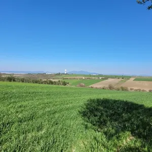 Земельный участок в Микра, фото 2
