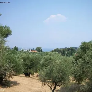 Земельный участок в Бокали, фото 4