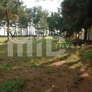 Земельный участок в Ситониа, фото 3