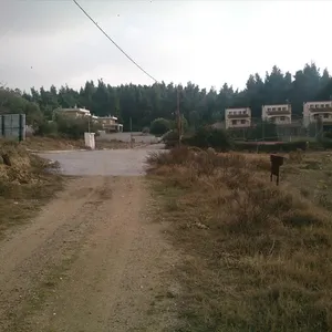 Земельный участок в Kassandra Municipality, фото 4