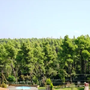 Мезонет в Kassandra Municipality, фото 2