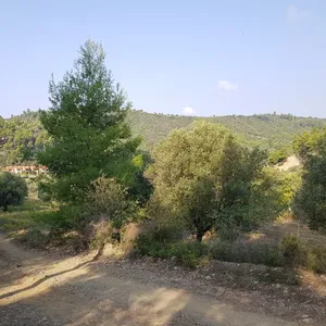 Земельный участок в Kassandra Municipality, фото 4