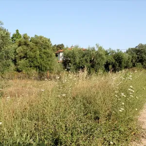 Земельный участок в Ситониа, фото 4