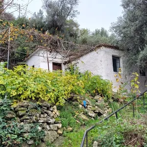 Отдельный дом в Kassandra Municipality, фото 2