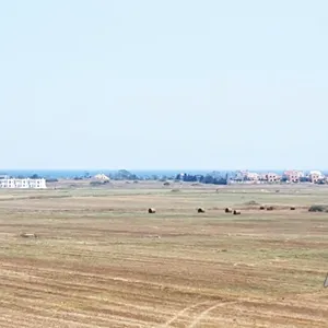 Квартира в Искеле, фото 4
