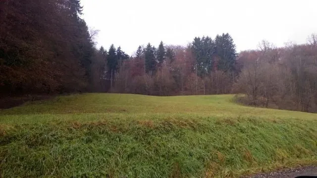 Дом в Марибор