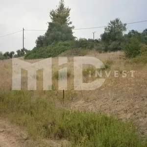 Земельный участок в Каллифея (Кассандра), фото 2