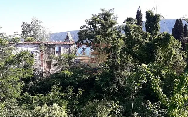 Квартира в Баошичи