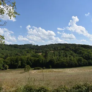 Дом в Nouvelle-Aquitaine, фото 4