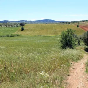 Земельный участок в Kassandra Municipality, фото 4
