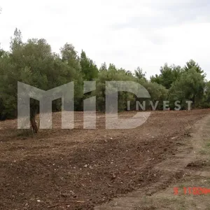 Земельный участок в Каллифея (Кассандра), фото 4