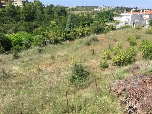 Земельный участок в Панорама
