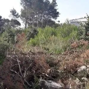 Земельный участок в Вир, фото 2