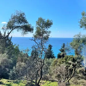 Земельный участок в Corfu, фото 2
