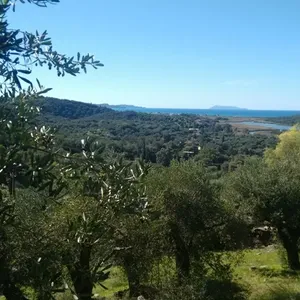Земельный участок в Corfu, фото 4